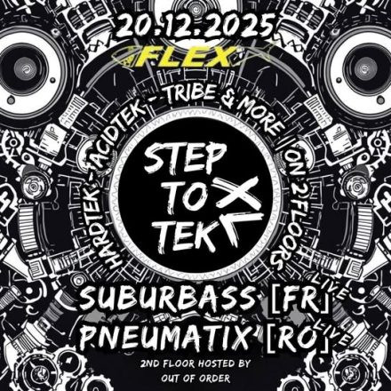 StepToTek XL | X-Mass Special