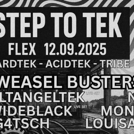 StepToTek SPECIAL EDITION