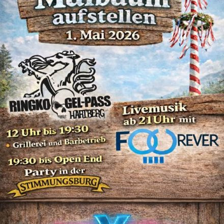 2.Maibaum aufstellen