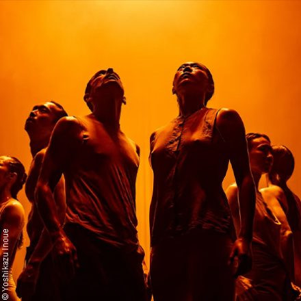 Damien Jalet . Kohei Nawa .