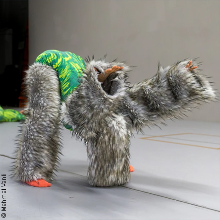 Prisma am 14. February 2026 @ Festspielhaus St. Pölten.