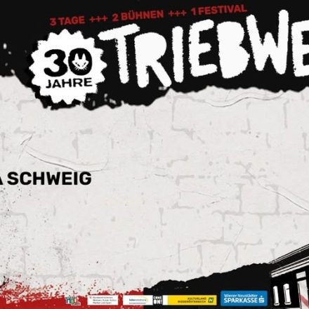 30 Jahre Triebwerk
