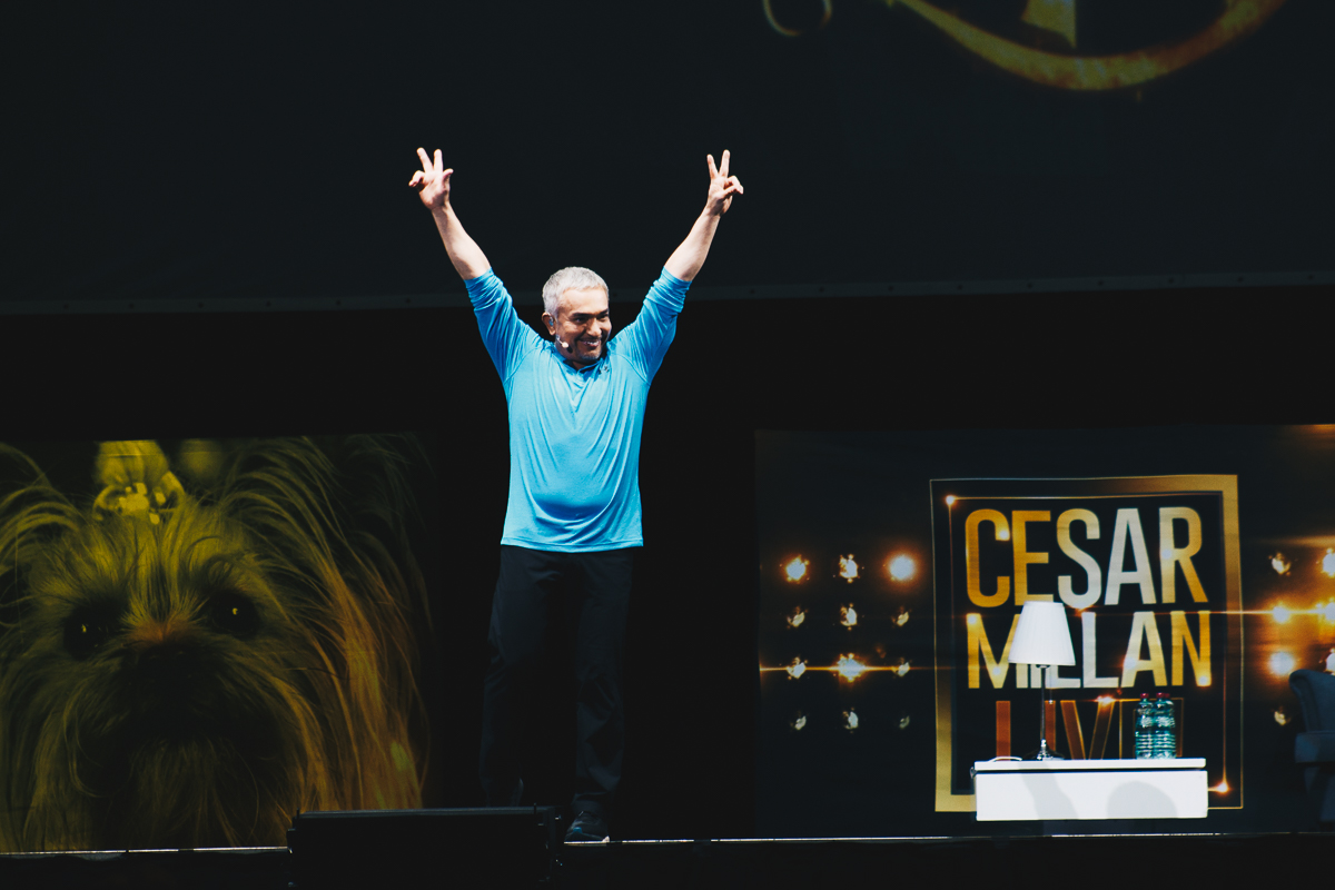 Cesar Millan - Once Upon A Dog @ Stadthalle Wien