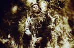 Wolves In The Throne Room