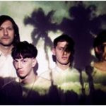 Wild Palms