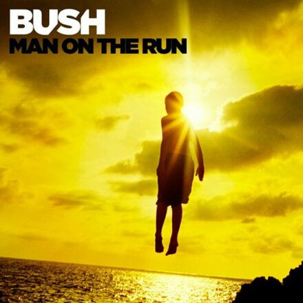 Bush