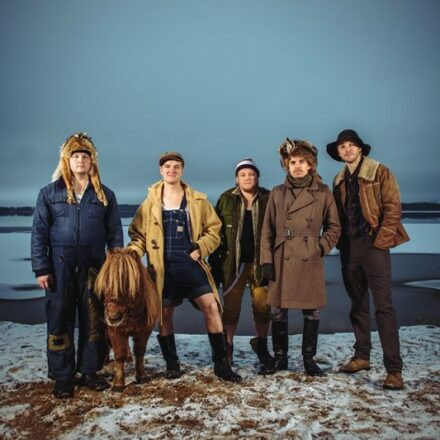 Steve 'n' Seagulls