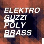 Elektro Guzzi & Polybrass