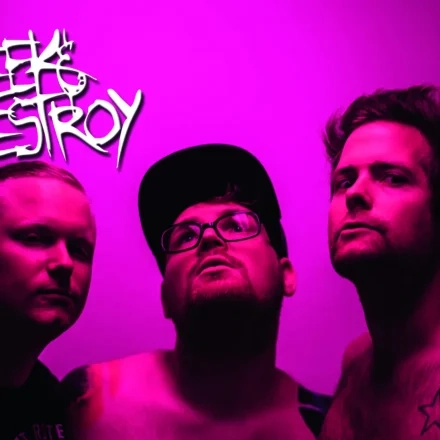 Seek & Destroy
