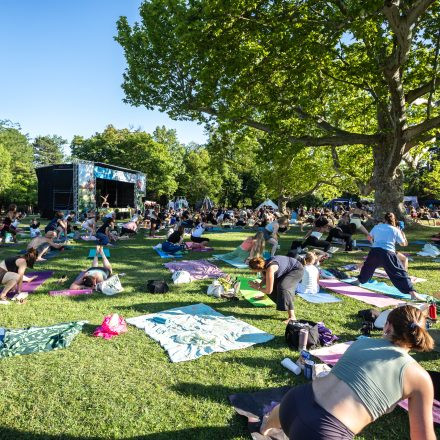 YOGA JUNKIES FESTIVAL 2027
