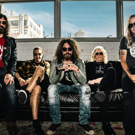 the dead daisies