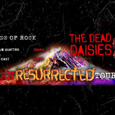 the dead daisies