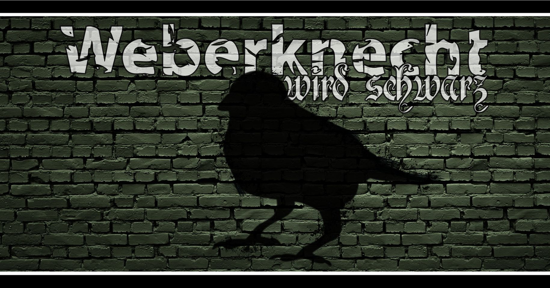 Weberknecht wird schwarz am 24. August 2024 @ Weberknecht.