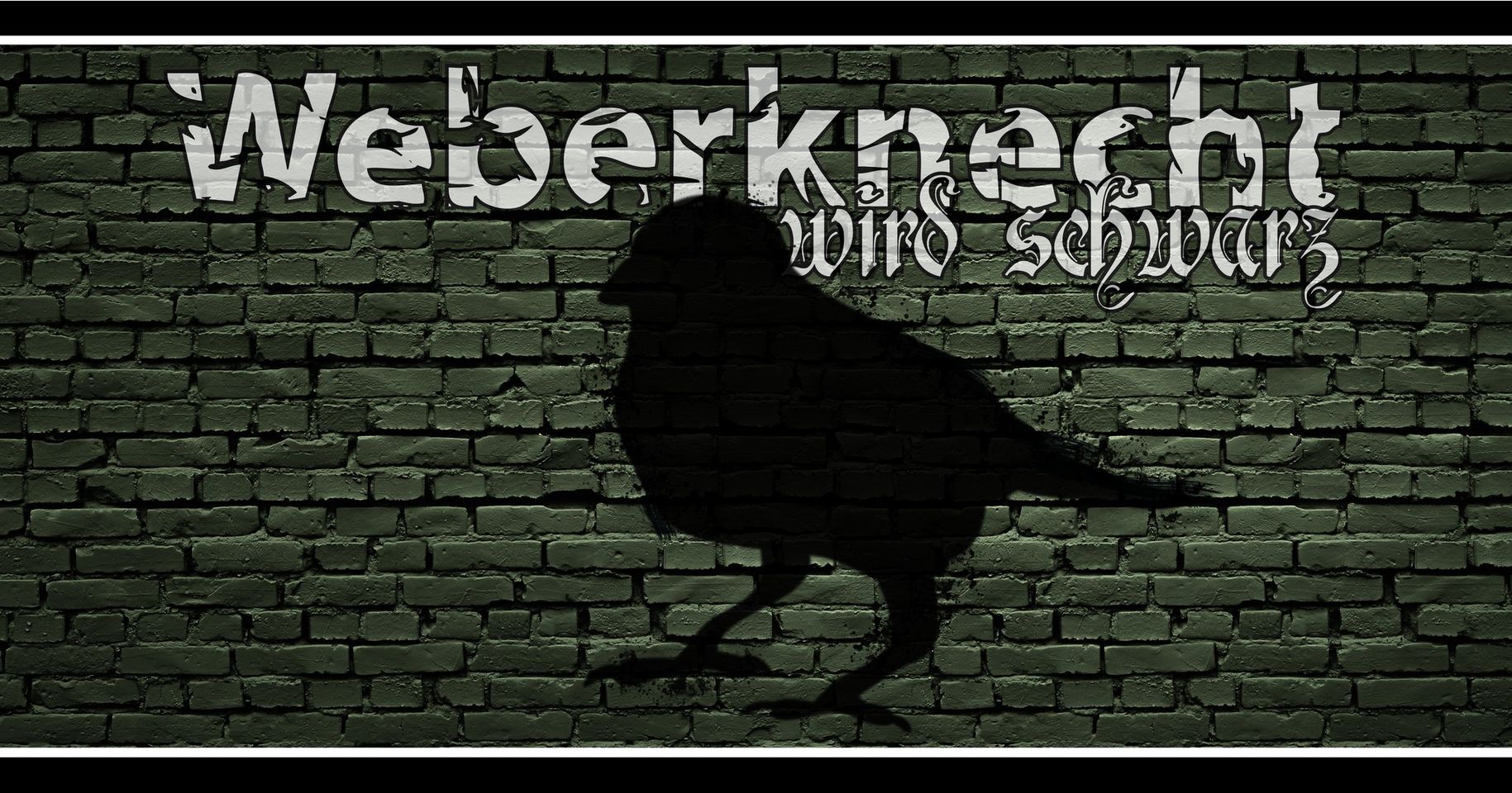 Weberknecht wird schwarz am 24. August 2024 @ Weberknecht. Weberknecht wird schwarz am 24. August 2024 @ Weberknecht.