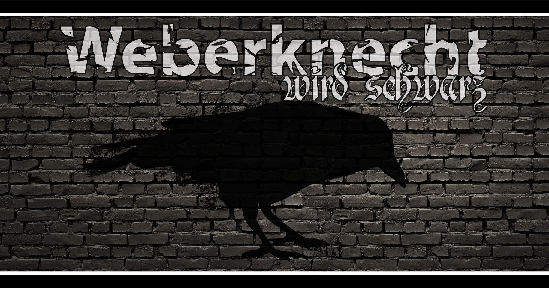 Weberknecht wird schwarz am 23. November 2024 @ Weberknecht.