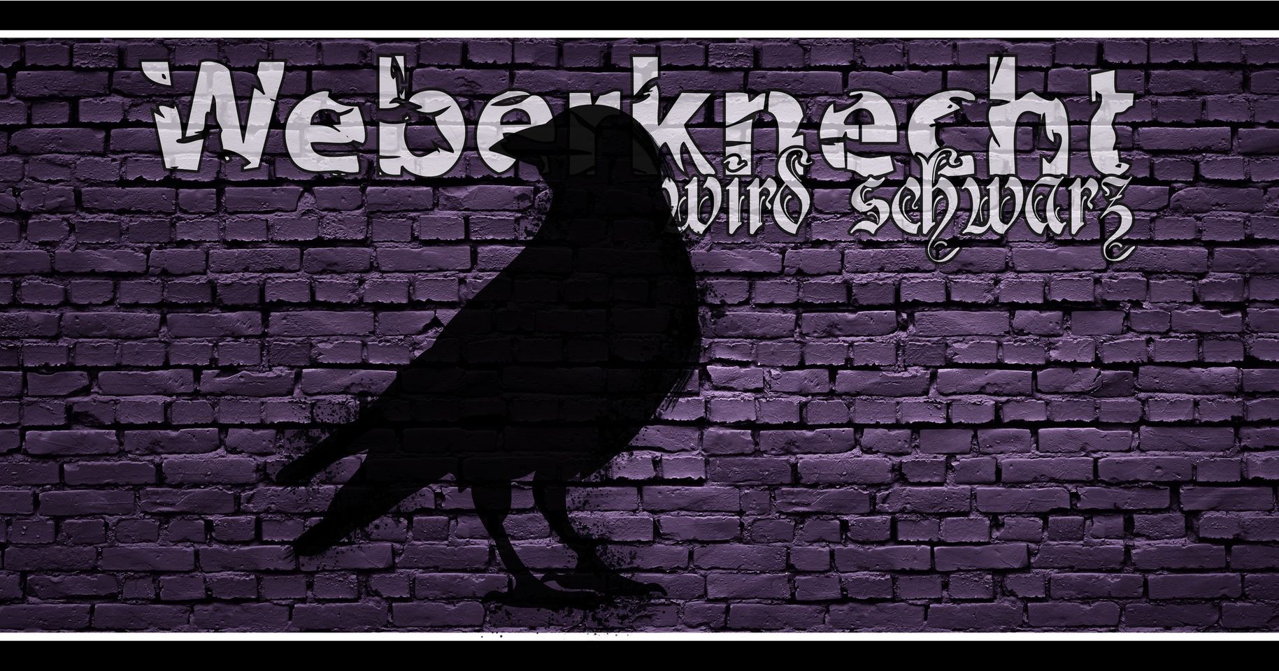 Weberknecht wird schwarz am 28. December 2024 @ Weberknecht. Weberknecht wird schwarz am 28. December 2024 @ Weberknecht.