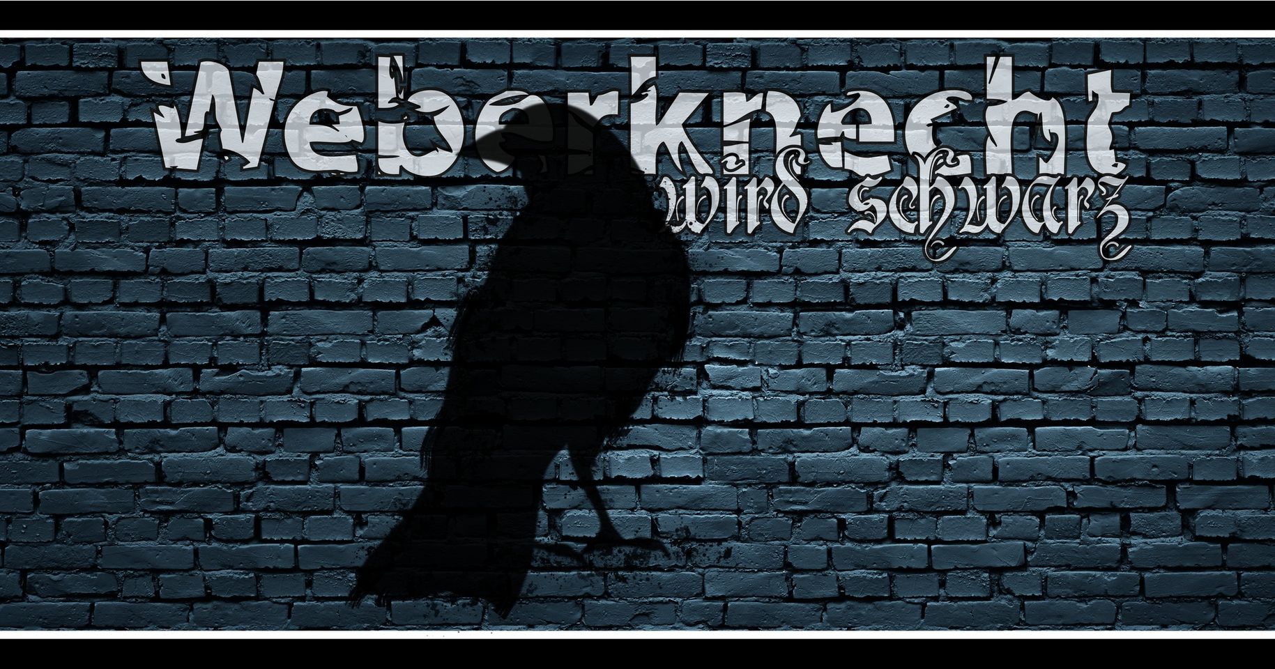 Weberknecht wird schwarz am 28. September 2024 @ Weberknecht. Weberknecht wird schwarz am 28. September 2024 @ Weberknecht.