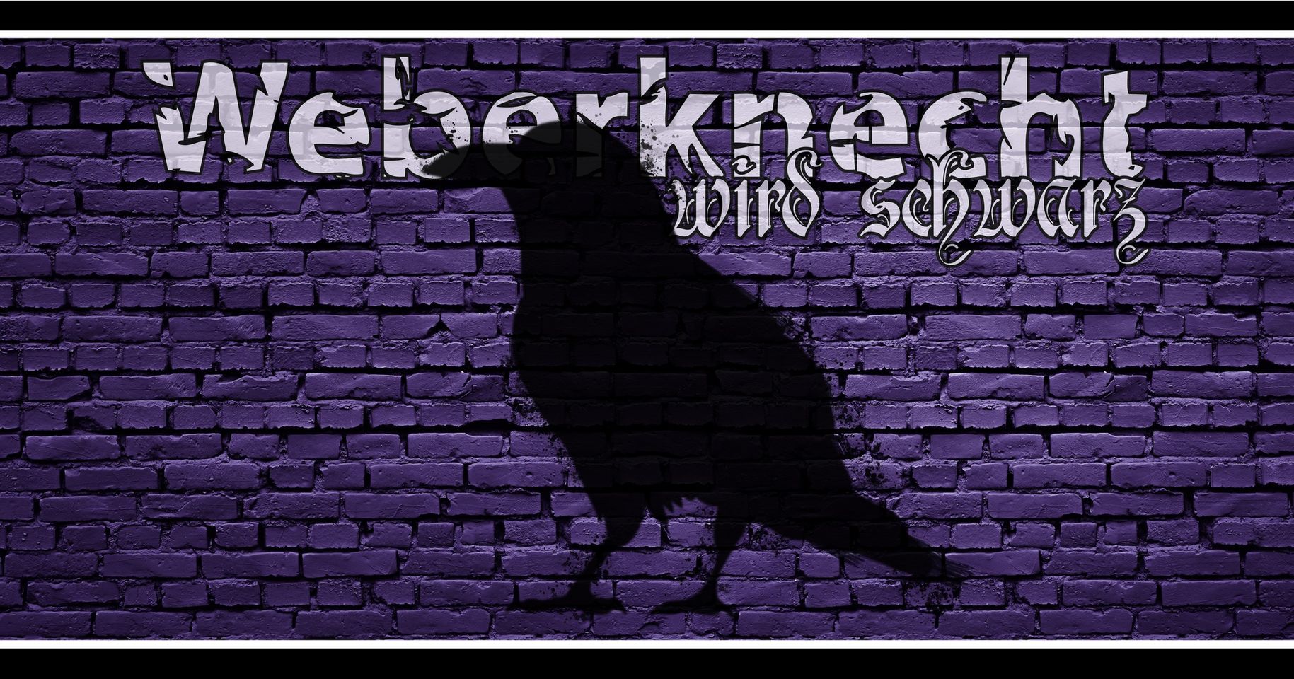 Weberknecht wird schwarz am 23. March 2024 @ Weberknecht. Weberknecht wird schwarz am 23. March 2024 @ Weberknecht.