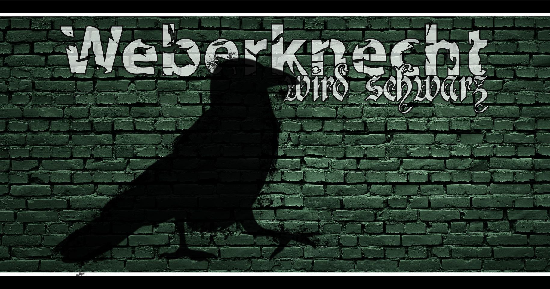 Weberknecht wird schwarz am 22. June 2024 @ Weberknecht.