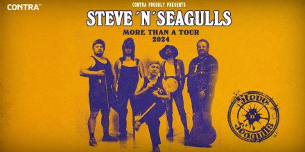 Steve 'n' Seagulls