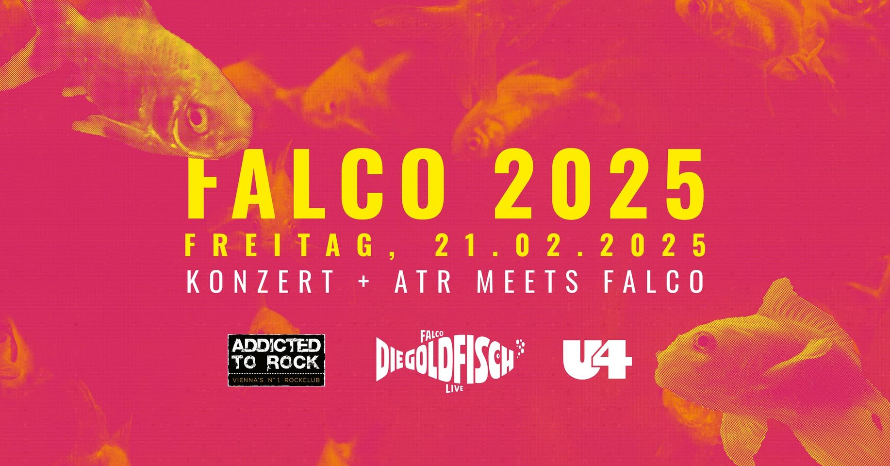 Falco 25 am 21. February 2025 @ U4.