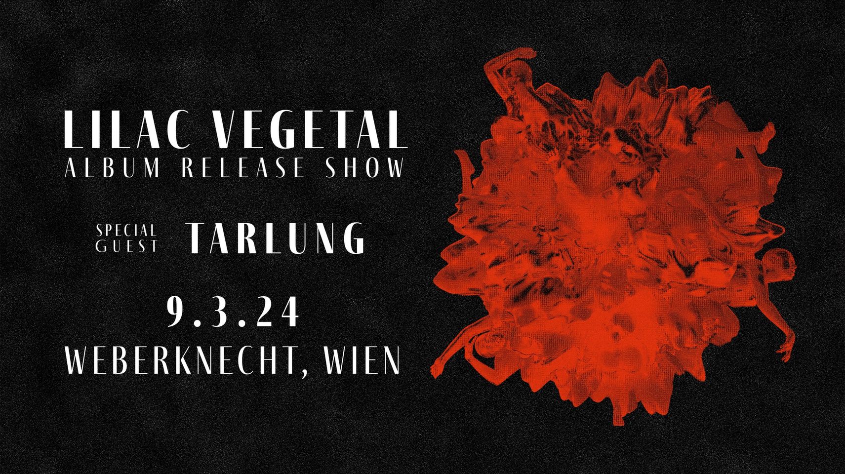 Lilac Vegetal am 9. March 2024 @ Weberknecht. Lilac Vegetal am 9. March 2024 @ Weberknecht.