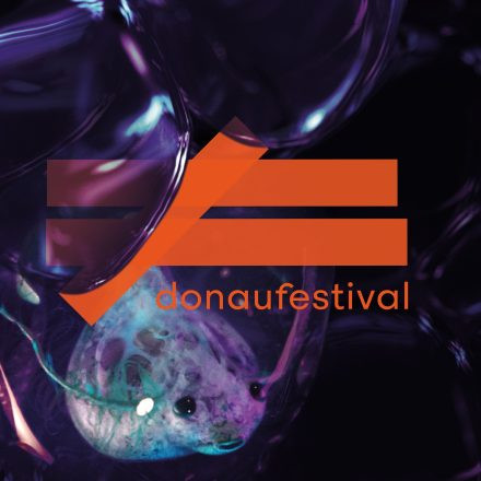 donaufestival 2024