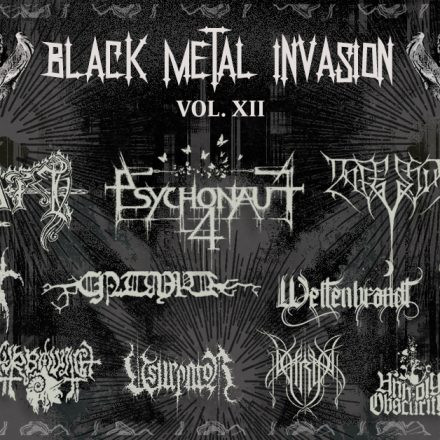 Black Metal Invasion Vol. XII