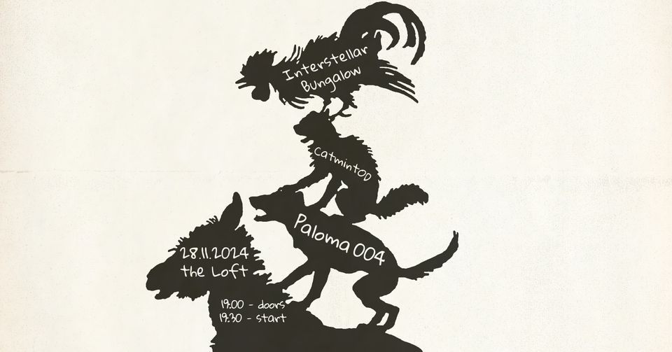 Interstellar Bungalow, CatmintOD, Paloma 004 am 28. November 2024 @ The Loft. Interstellar Bungalow, CatmintOD, Paloma 004 am 28. November 2024 @ The Loft.