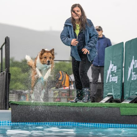 Hundetag Baden 2026