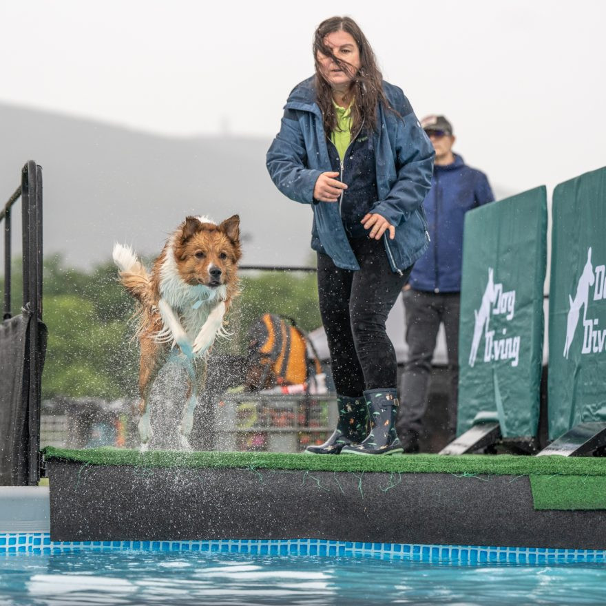 Hundetag Baden 2026