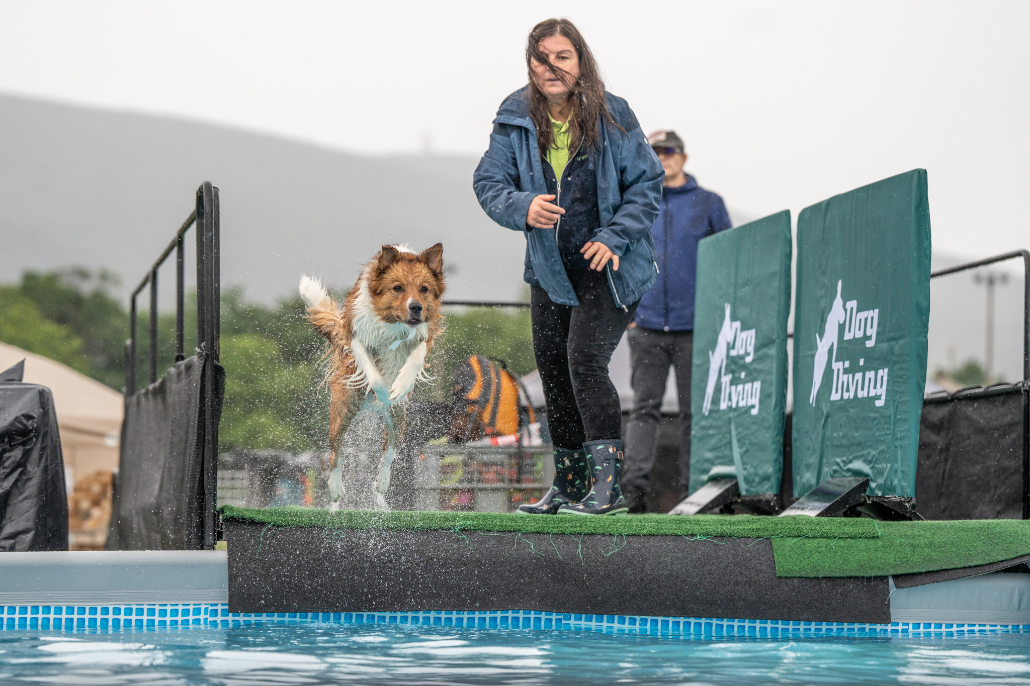 Hundetag Baden 2026 am 7. June 2026 @ Trabrennbahn Baden.