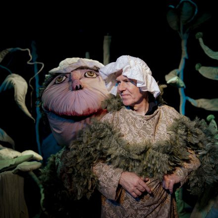 Die Blumen Des Wolfs - PREMIERE