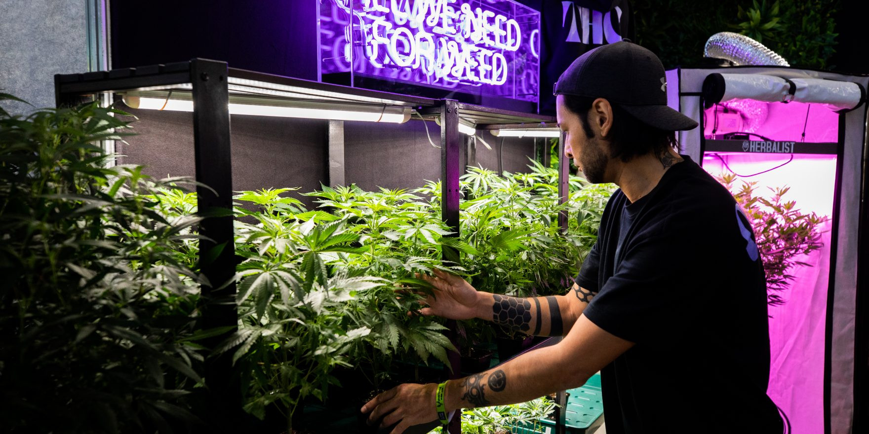 CULTIVA Hanfexpo 2026