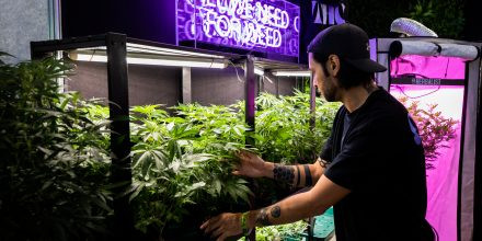 CULTIVA Hanfexpo 2026