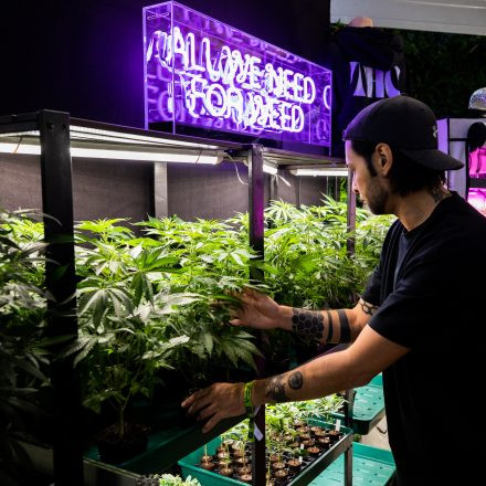 CULTIVA Hanfexpo 2026