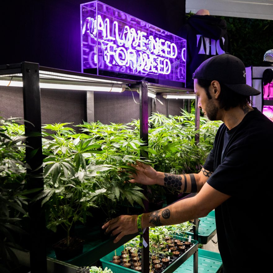 CULTIVA Hanfexpo 2026