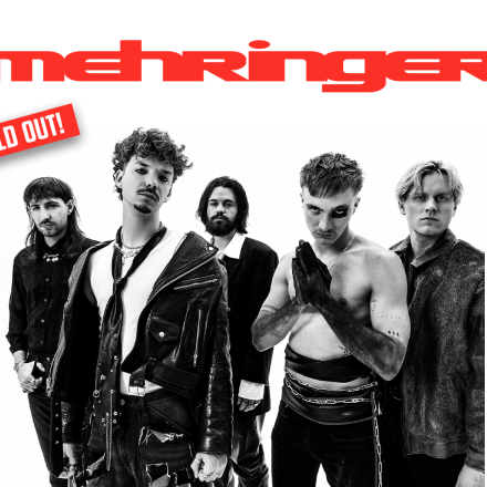 Mehringer