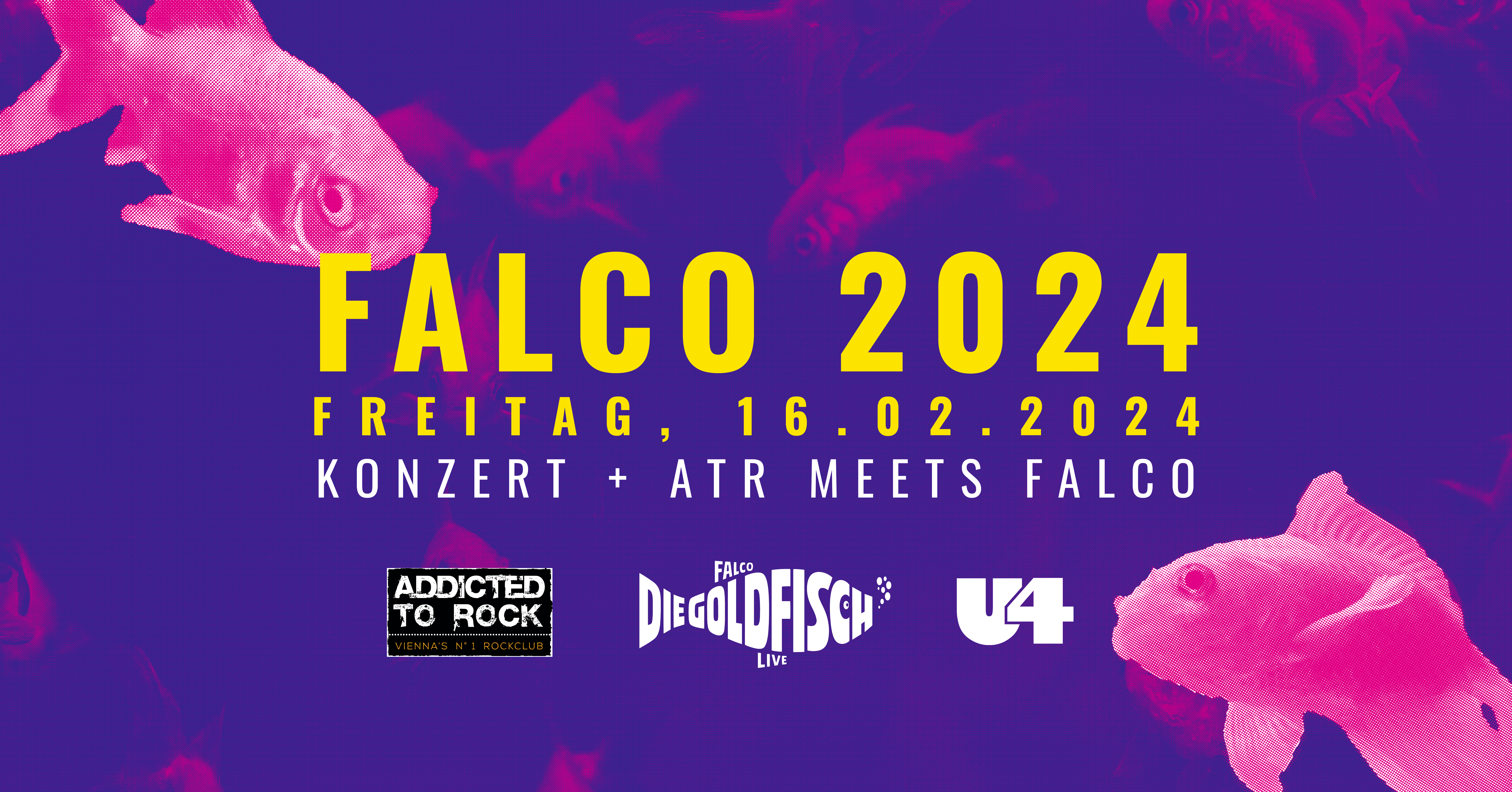 FALCO 24 am 16. February 2024 @ U4. FALCO 24 am 16. February 2024 @ U4.