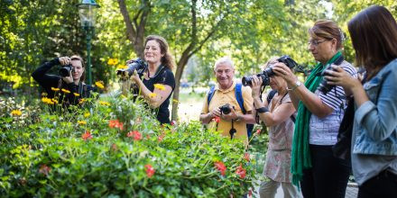 Fotografie Einsteigerkurs - Theorie & Praxis