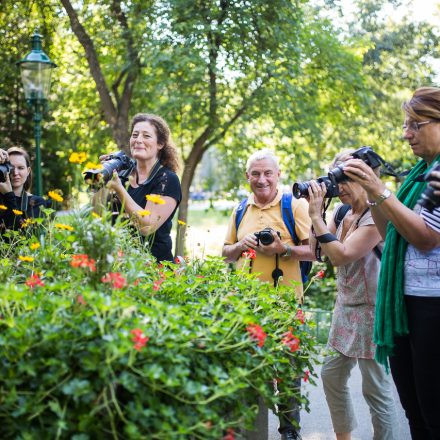 Fotografie Einsteigerkurs - Theorie & Praxis