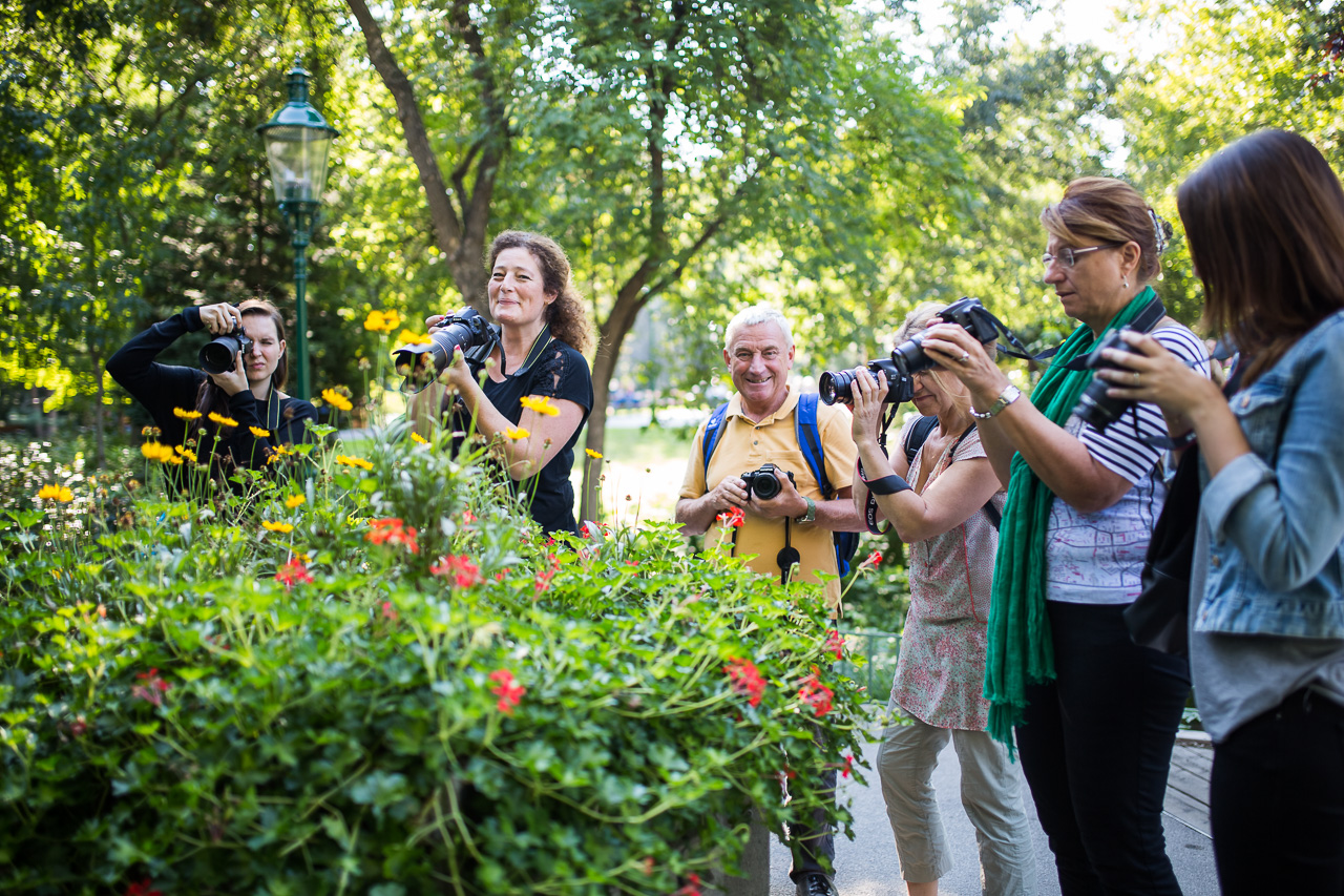 Fotografie Einsteigerkurs - Theorie & Praxis am 14. March 2026 @ Seminarraum Wien 1030.