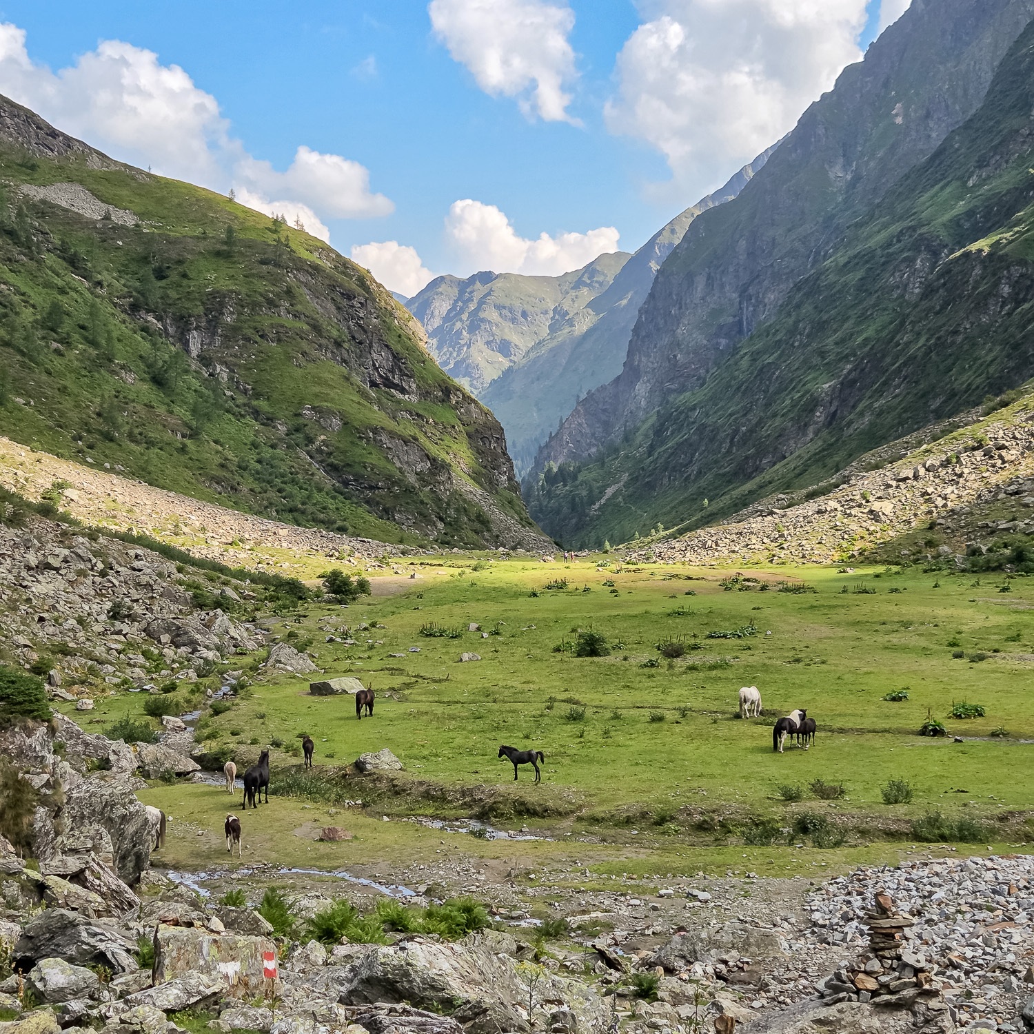 Foto-Retreat Schladming 2026 am 31. July 2026 @ Gebiet Schladming.