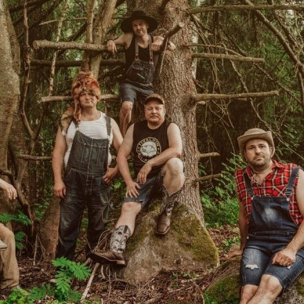Steve'n'Seagulls