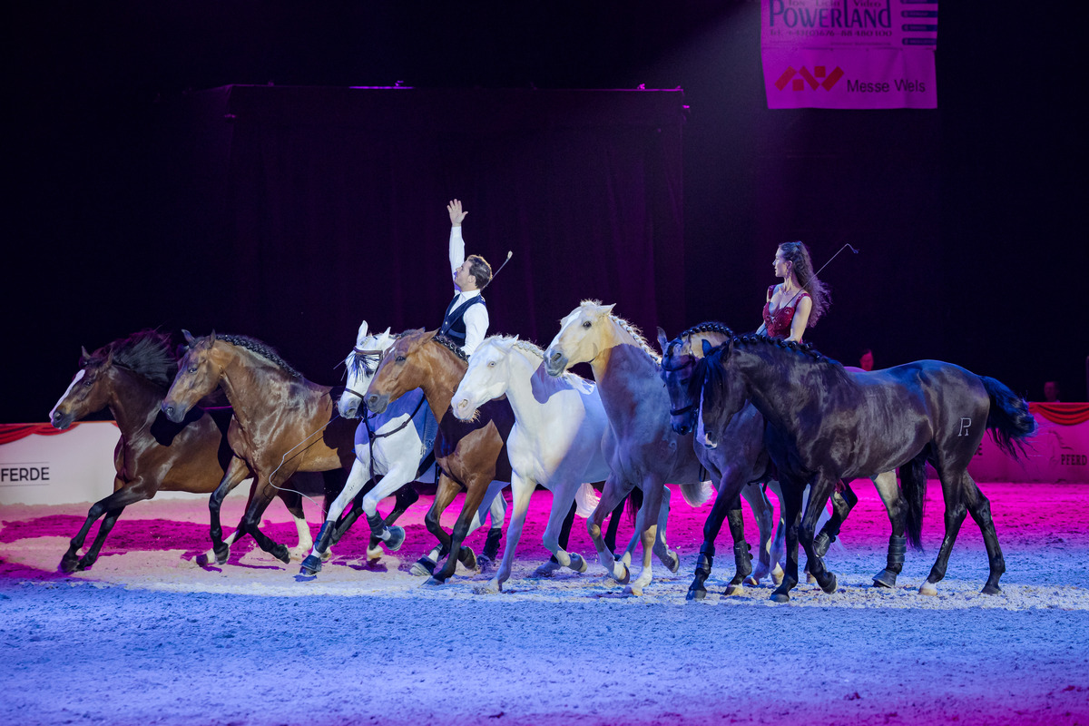 PFERD Wels 2026 am 14. May 2026 @ Messe Wels.