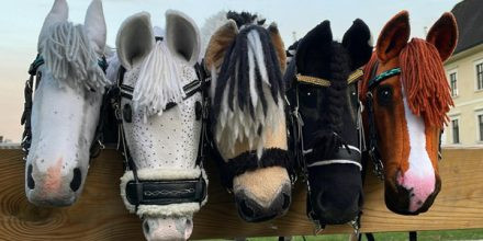 STYRIA CUP 2026 - Hobbyhorsing