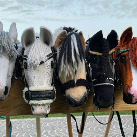 STYRIA CUP 2026 - Hobbyhorsing