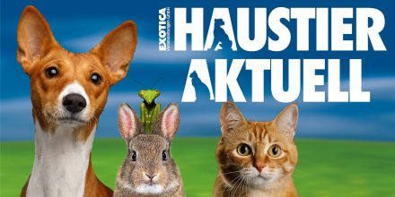 Haustier Aktuell 2026