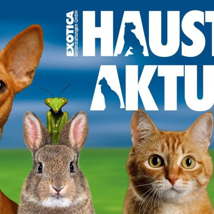 Haustier Aktuell 2026