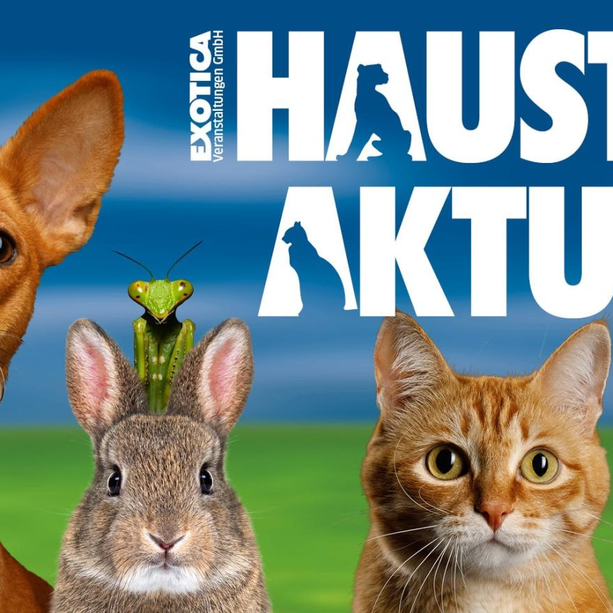 Haustier Aktuell 2026